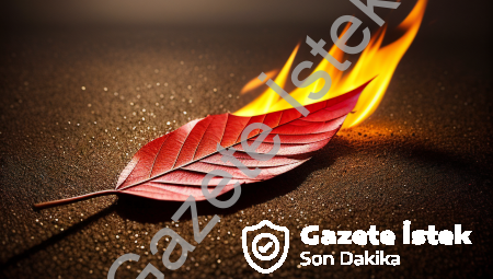 Defne Yaprağı Yakmak Günah mı?