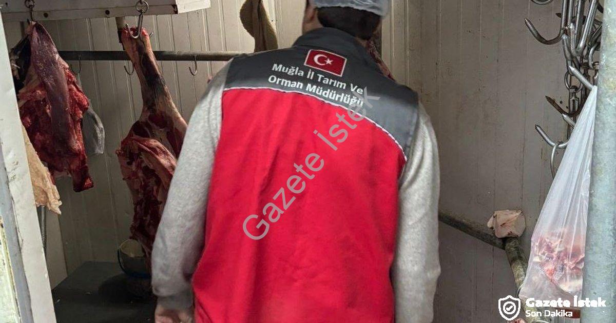 "Menteşe'de Halk Sağlığı İçin Kasaplara Sıkı Denetim" başlıklı haber için fotorealistik, profesyonel