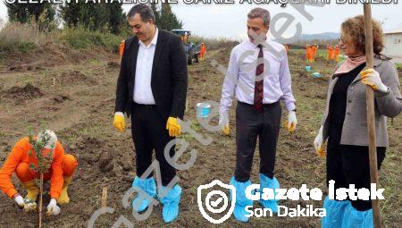 Dalaman’da Tarımsal Üretim Hamlesi: Cezaevi Arazisine Sakız Ağaçları Dikildi