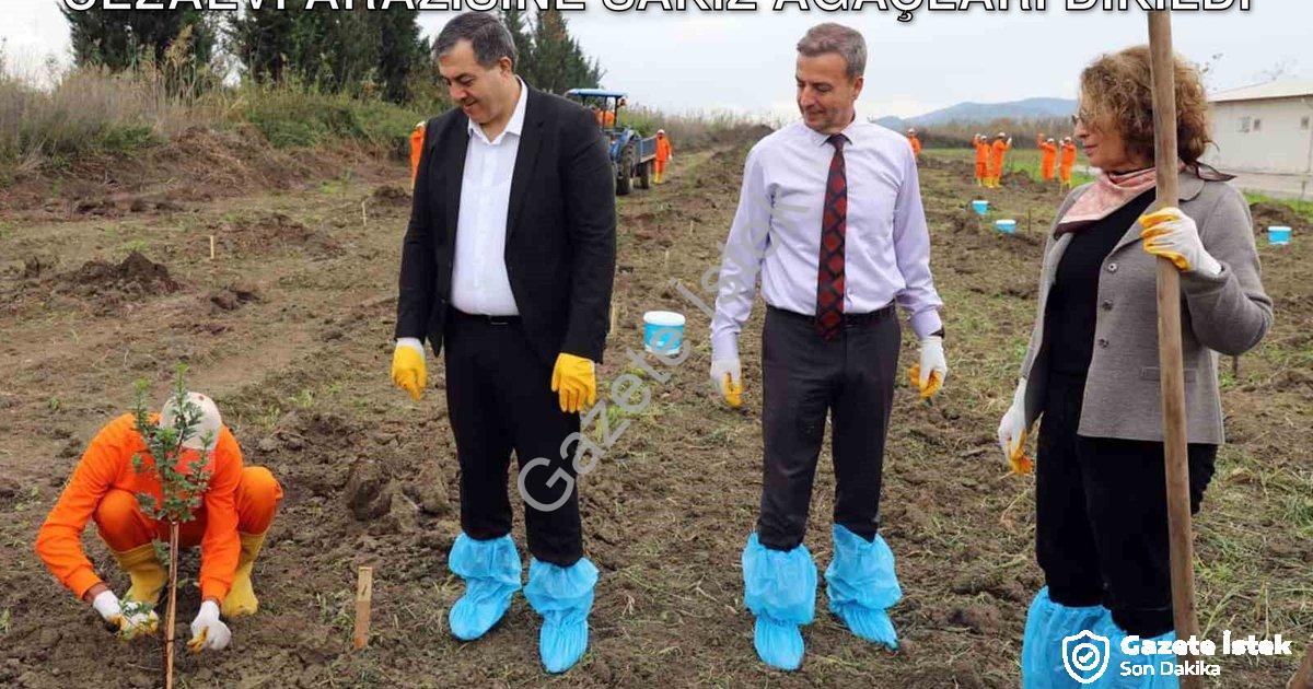 "Dalaman'da Tarımsal Üretim Hamlesi: Cezaevi Arazisine Sakız Ağaçları Dikildi" başlıklı haber için f