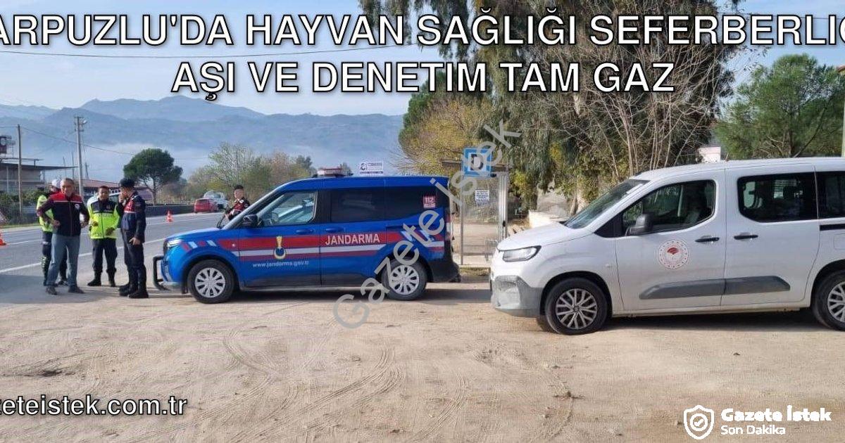 "Karpuzlu'da Hayvan Sağlığı Seferberliği: Aşı ve Denetim Tam Gaz" başlıklı haber için fotorealistik,