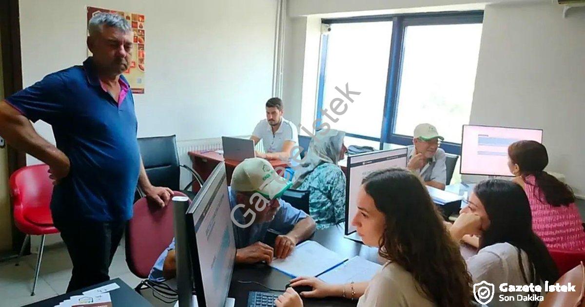 "Söke Ovası'nda Tarım Sayımı Rekor Seviyede: Yüzde 90 Tamamlandı" başlıklı haber için fotorealistik,