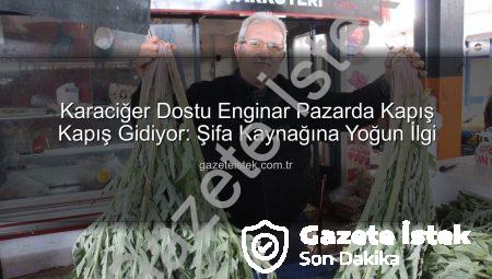 Karaciğer Dostu Enginar Pazarda Kapış Kapış Gidiyor: Şifa Kaynağına Yoğun İlgi