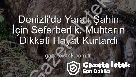 Denizli’de Yaralı Şahin İçin Seferberlik: Muhtarın Dikkati Hayat Kurtardı