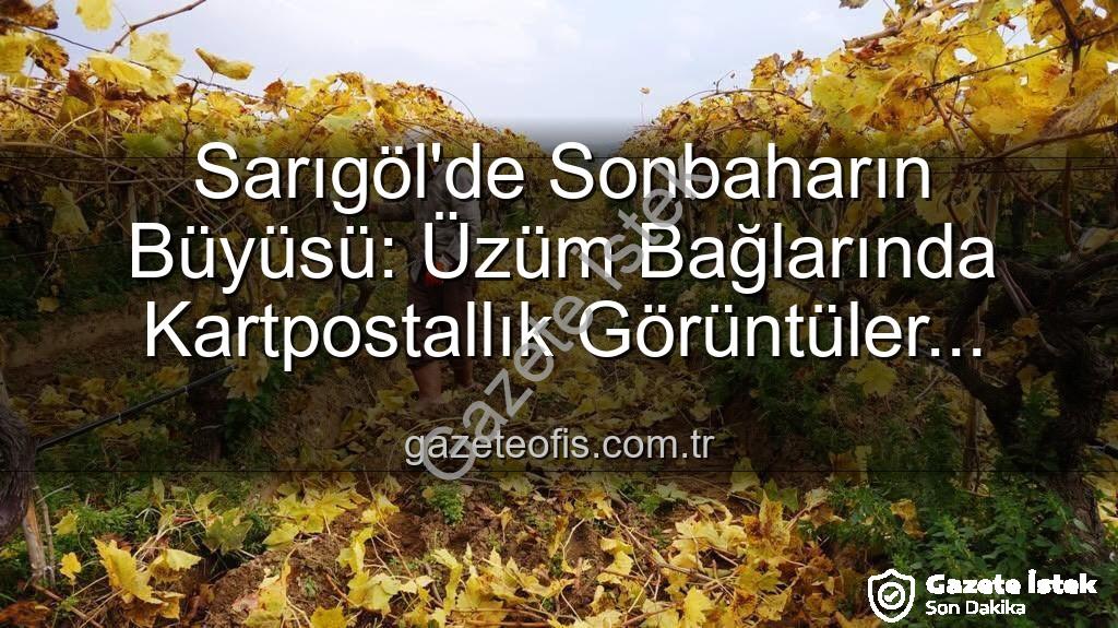 Sarıgöl üzüm bağları - Sarıgöl'de Sonbahar Büyüsü: Üzüm Bağlarında Budama Zamanı ve Muhteşem Manzaralar