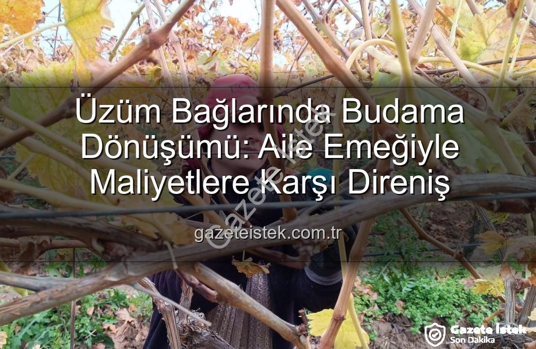üzüm budama maliyeti - Üzüm Bağlarında Budama Dönüşümü: Aile Emeğiyle Maliyetlere Karşı Direniş