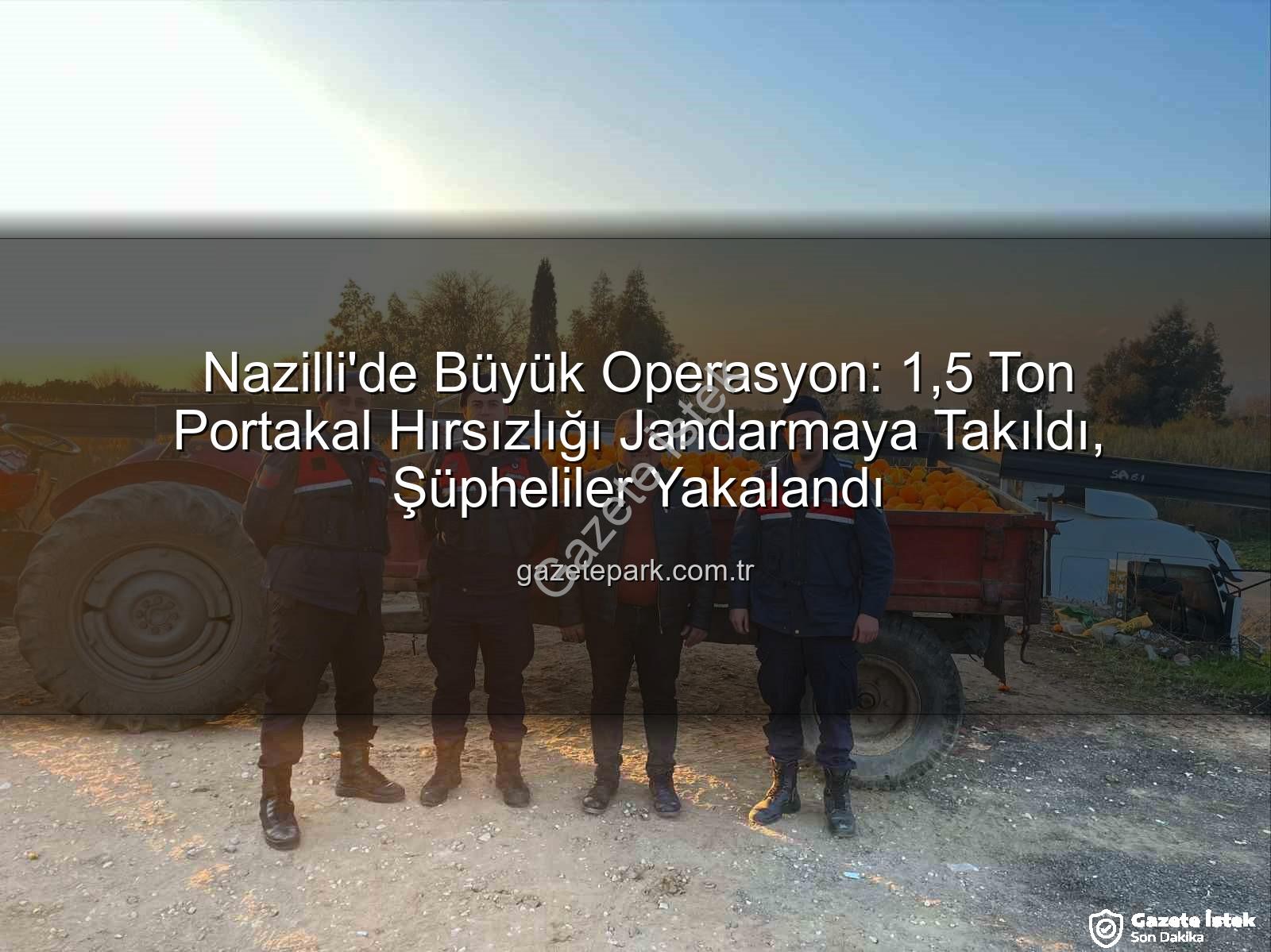 portakal hırsızlığı - Nazilli'de Nefes Kesen Operasyon: 1,5 Ton Portakal Hırsızlığı Jandarmaya Takıldı, Şüpheliler Yakalandı!