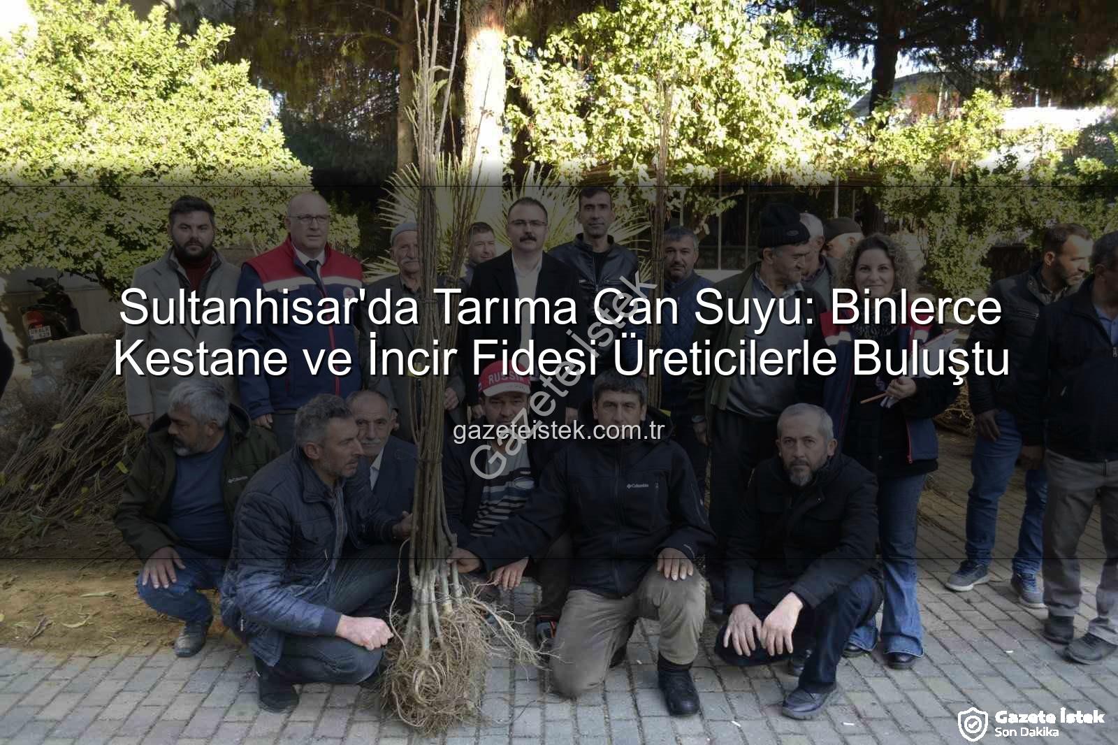 kestane incir fidesi - Sultanhisar'da Tarıma Can Suyu: Binlerce Kestane ve İncir Fidesi Üreticilerle Buluştu