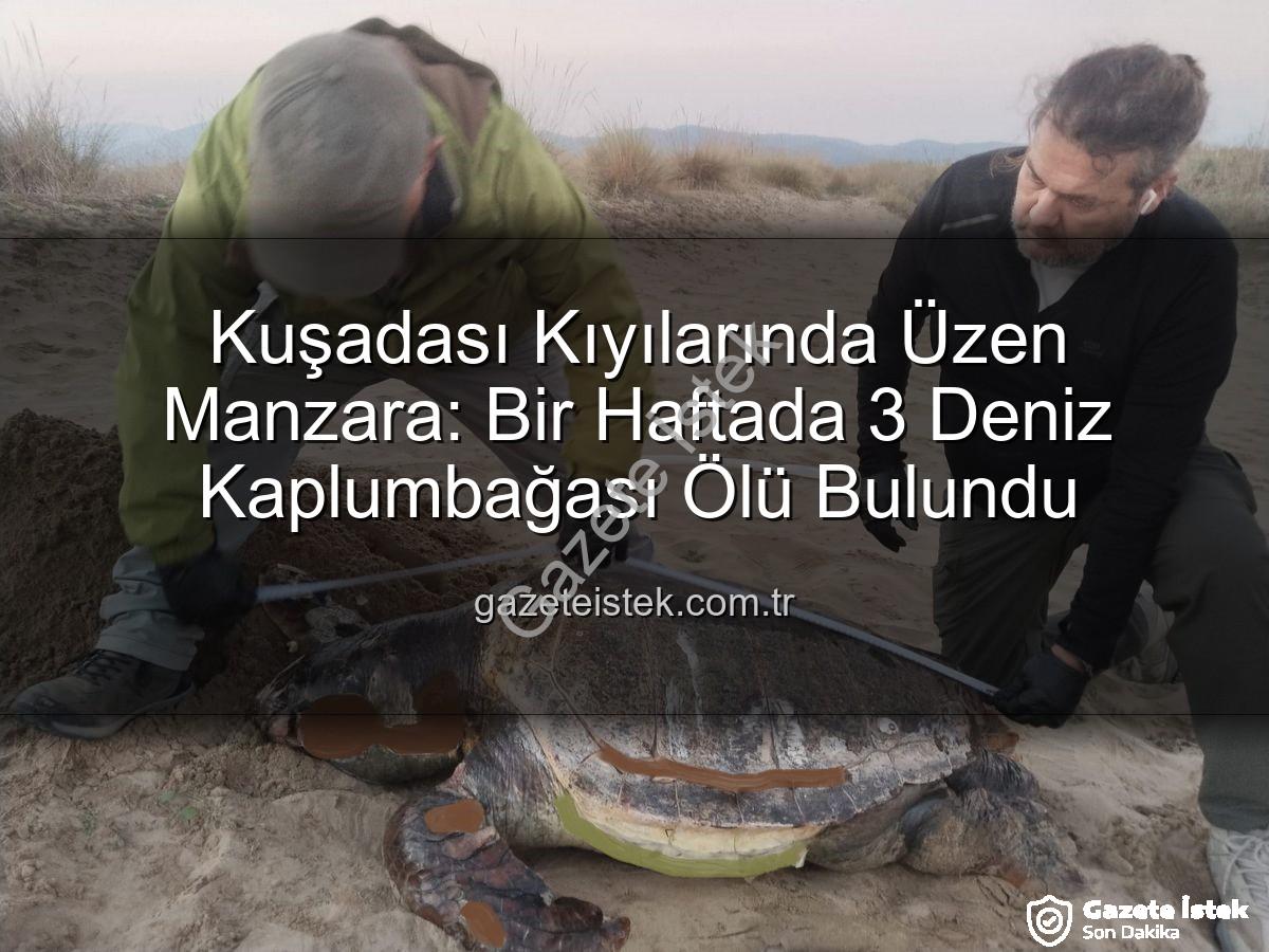deniz kaplumbağası ölümü - Kuşadası Kıyılarında Üzen Manzara: Bir Haftada 3 Deniz Kaplumbağası Ölü Bulundu