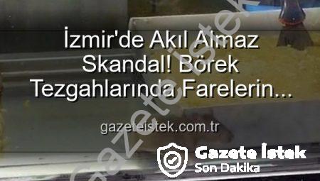 İzmir’de Akıl Almaz Skandal! Börek Tezgahlarında Farelerin Cirit Attığı Anlar Kameraya Yansıdı
