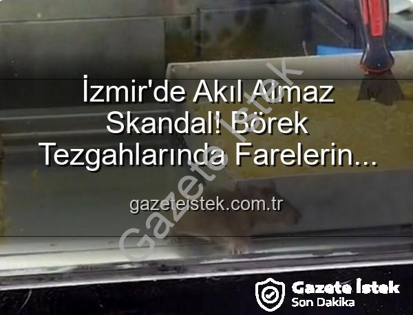 İzmir börek fare - İzmir'de Akıl Almaz Skandal! Börek Tezgahlarında Farelerin Cirit Attığı Anlar Kameraya Yansıdı