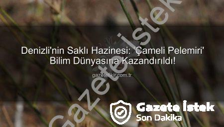 Denizli’nin Saklı Hazinesi: ‘Çameli Pelemiri’ Bilim Dünyasına Kazandırıldı!