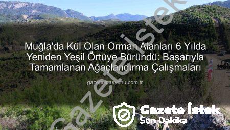 Muğla’da Kül Olan Orman 6 Yılda Yeniden Yeşerdi: 450 Bin Fidan Toprakla Buluştu